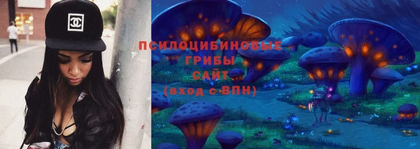 герыч Алексин