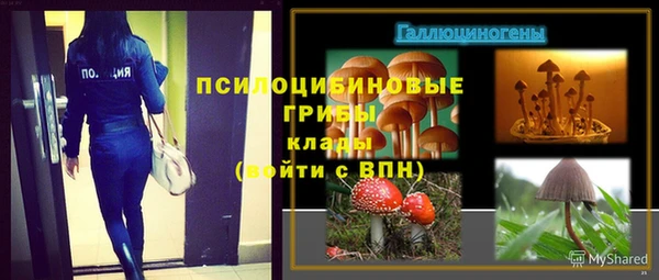 тгк Алзамай