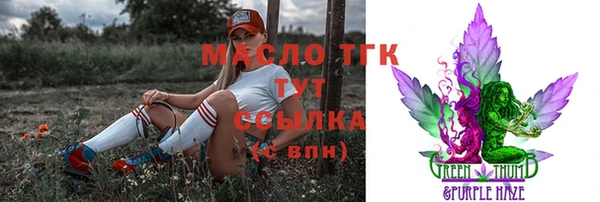 тгк Алзамай