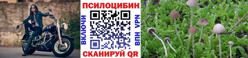 Псилоцибиновые грибы прущие грибы  где продают наркотики  Асино 